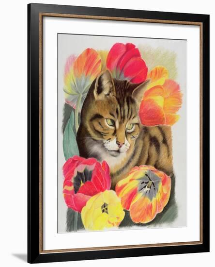 Stripy and Tulip-Anne Robinson-Framed Giclee Print