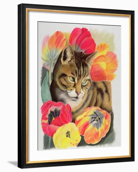 Stripy and Tulip-Anne Robinson-Framed Giclee Print