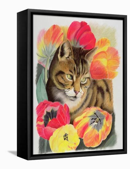 Stripy and Tulip-Anne Robinson-Framed Premier Image Canvas