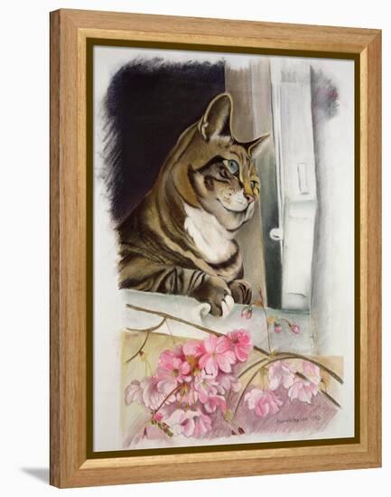 Stripy at the Window-Anne Robinson-Framed Premier Image Canvas