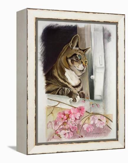 Stripy at the Window-Anne Robinson-Framed Premier Image Canvas