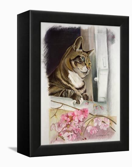 Stripy at the Window-Anne Robinson-Framed Premier Image Canvas