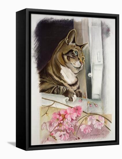 Stripy at the Window-Anne Robinson-Framed Premier Image Canvas