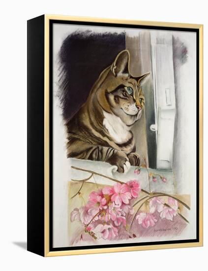 Stripy at the Window-Anne Robinson-Framed Premier Image Canvas