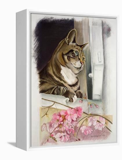 Stripy at the Window-Anne Robinson-Framed Premier Image Canvas