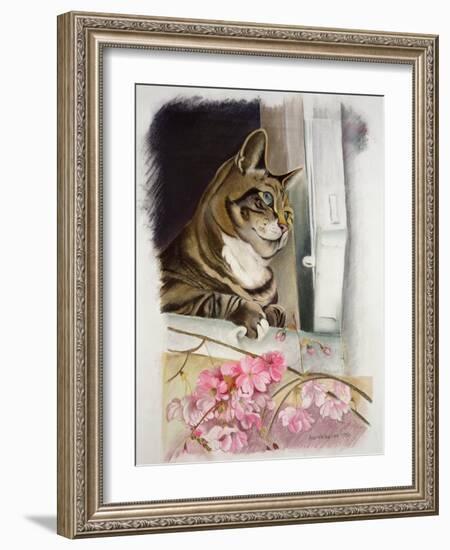 Stripy at the Window-Anne Robinson-Framed Giclee Print