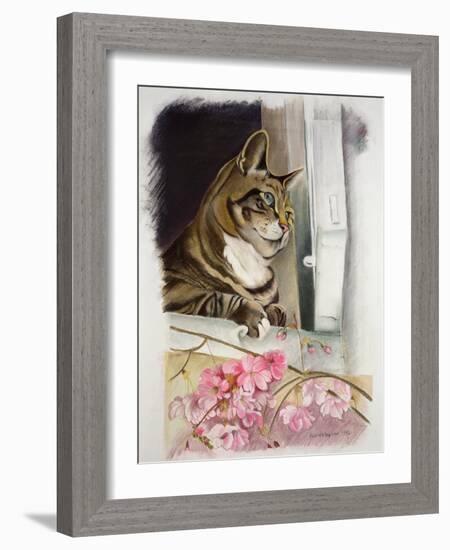 Stripy at the Window-Anne Robinson-Framed Giclee Print