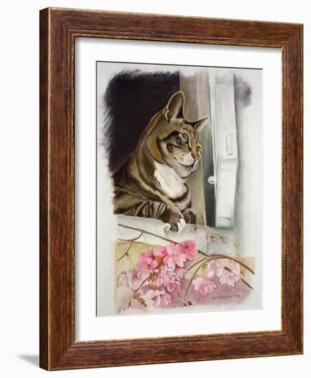 Stripy at the Window-Anne Robinson-Framed Giclee Print