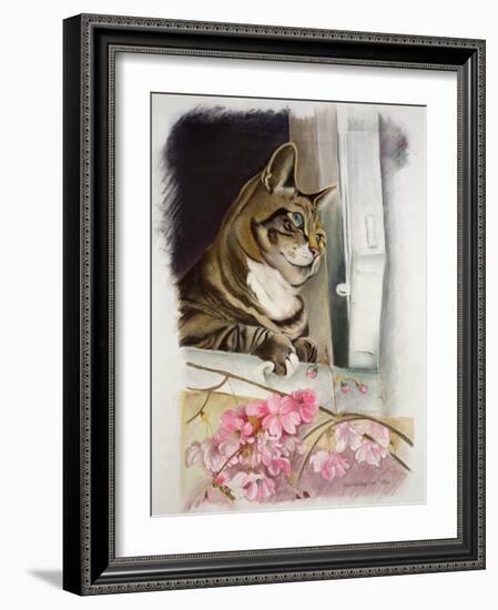 Stripy at the Window-Anne Robinson-Framed Giclee Print