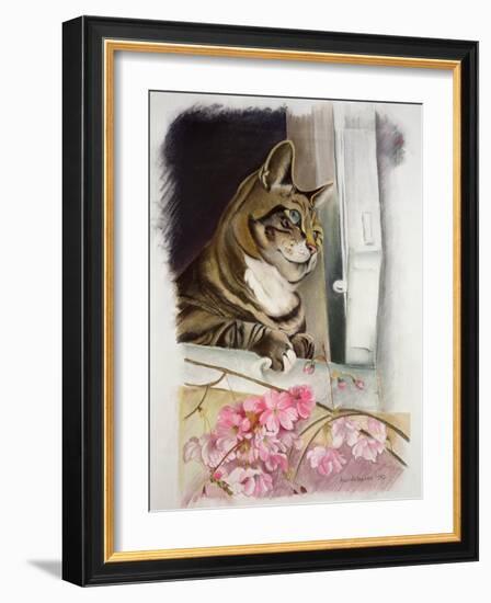 Stripy at the Window-Anne Robinson-Framed Giclee Print