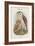 Strix Candida - Grass Owl-John Gould-Framed Art Print