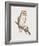 Strix Delicatulis-John Gould-Framed Giclee Print