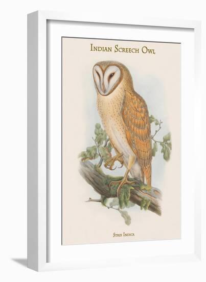 Strix Indica - Indian Screech Owl-John Gould-Framed Art Print