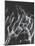 Stroboscopic Image of Nude Model Leaping Through Space-Gjon Mili-Mounted Photographic Print