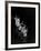 Stroboscopic Image of Woman Swinging Tennis Racquet as She Appears to Be Descending Staircase-Gjon Mili-Framed Photographic Print