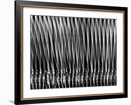 Stroboscopic Study of a Ballerina on Pointe-Gjon Mili-Framed Photographic Print