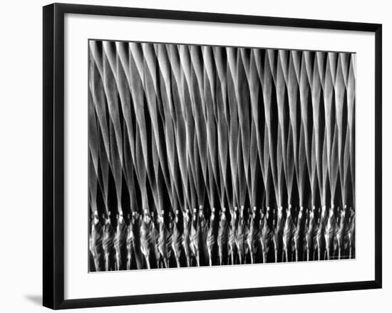 Stroboscopic Study of a Ballerina on Pointe-Gjon Mili-Framed Photographic Print