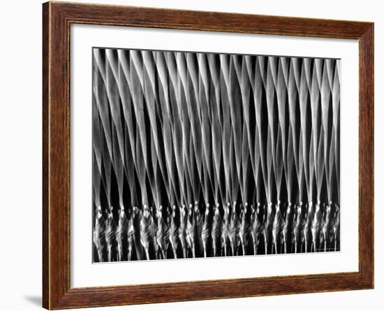 Stroboscopic Study of a Ballerina on Pointe-Gjon Mili-Framed Photographic Print