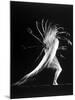Stroboscopic Study of an Arm Movement Made by Dancer Patricia Mcbride-Gjon Mili-Mounted Premium Photographic Print