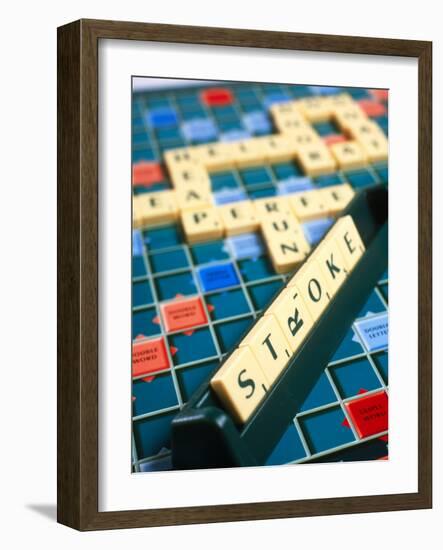 Stroke-Tek Image-Framed Photographic Print