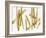 Strokes Gold II-Ellie Roberts-Framed Art Print