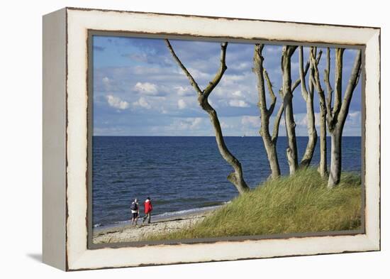 Stroller and Beech Trunks on the Western Beach of Darss Peninsula-Uwe Steffens-Framed Premier Image Canvas