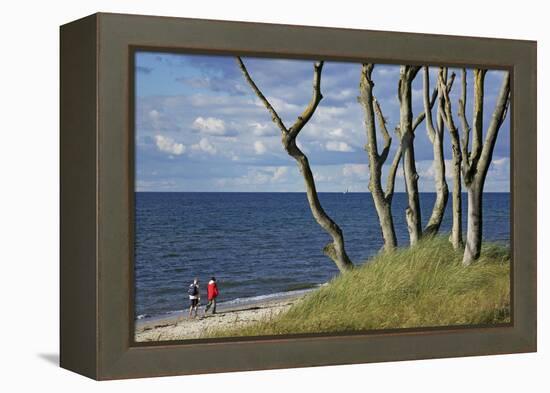 Stroller and Beech Trunks on the Western Beach of Darss Peninsula-Uwe Steffens-Framed Premier Image Canvas