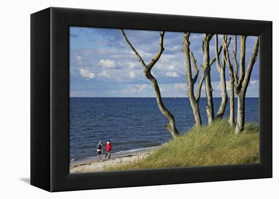 Stroller and Beech Trunks on the Western Beach of Darss Peninsula-Uwe Steffens-Framed Premier Image Canvas