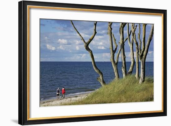 Stroller and Beech Trunks on the Western Beach of Darss Peninsula-Uwe Steffens-Framed Photographic Print