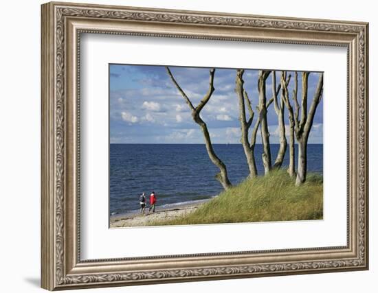 Stroller and Beech Trunks on the Western Beach of Darss Peninsula-Uwe Steffens-Framed Photographic Print