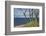 Stroller and Beech Trunks on the Western Beach of Darss Peninsula-Uwe Steffens-Framed Photographic Print