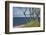 Stroller and Beech Trunks on the Western Beach of Darss Peninsula-Uwe Steffens-Framed Photographic Print