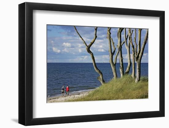 Stroller and Beech Trunks on the Western Beach of Darss Peninsula-Uwe Steffens-Framed Photographic Print