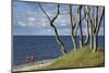 Stroller and Beech Trunks on the Western Beach of Darss Peninsula-Uwe Steffens-Mounted Photographic Print