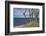 Stroller and Beech Trunks on the Western Beach of Darss Peninsula-Uwe Steffens-Framed Photographic Print