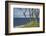 Stroller and Beech Trunks on the Western Beach of Darss Peninsula-Uwe Steffens-Framed Photographic Print