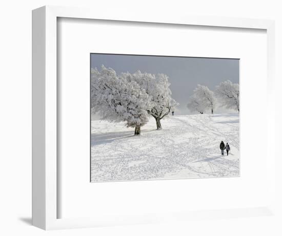 Strollers Passing Snow Covered Trees on the Mountain Schauinsland in the Black Forest , Germany-null-Framed Photographic Print