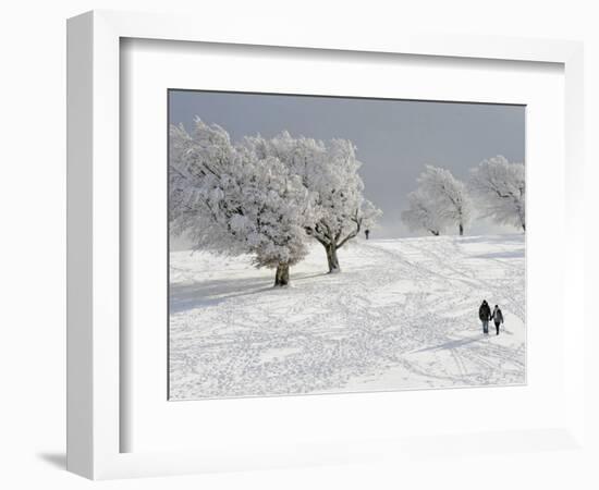 Strollers Passing Snow Covered Trees on the Mountain Schauinsland in the Black Forest , Germany-null-Framed Photographic Print