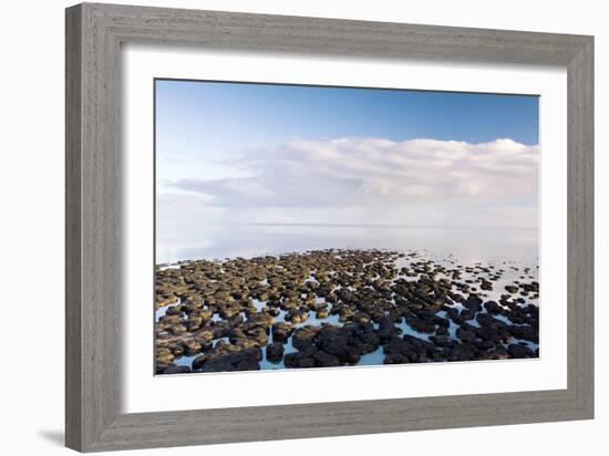 Stromatolites In Australia-Bob Gibbons-Framed Photographic Print