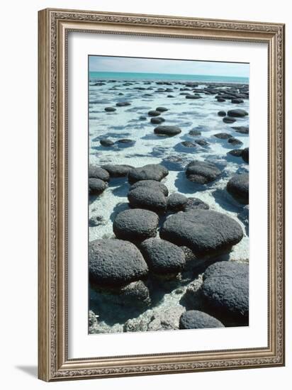 Stromatolites-Georgette Douwma-Framed Premium Photographic Print