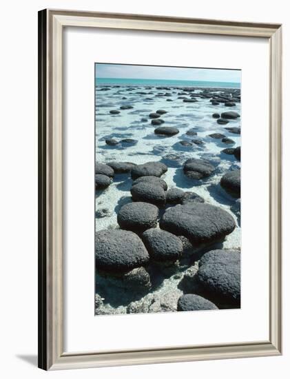 Stromatolites-Georgette Douwma-Framed Photographic Print