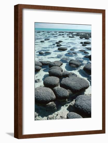 Stromatolites-Georgette Douwma-Framed Photographic Print