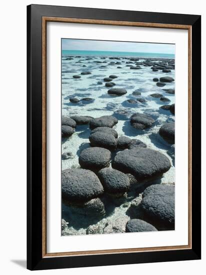 Stromatolites-Georgette Douwma-Framed Photographic Print