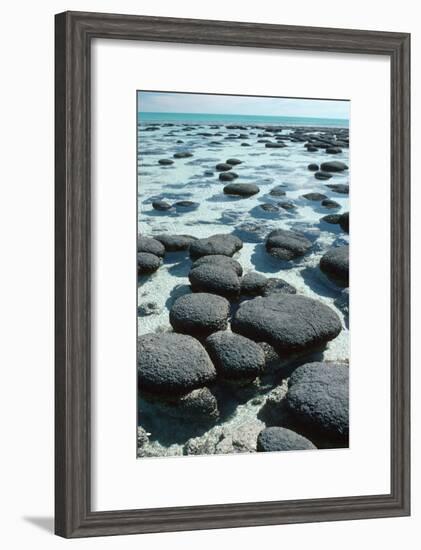 Stromatolites-Georgette Douwma-Framed Photographic Print