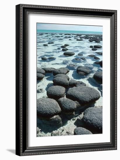 Stromatolites-Georgette Douwma-Framed Photographic Print