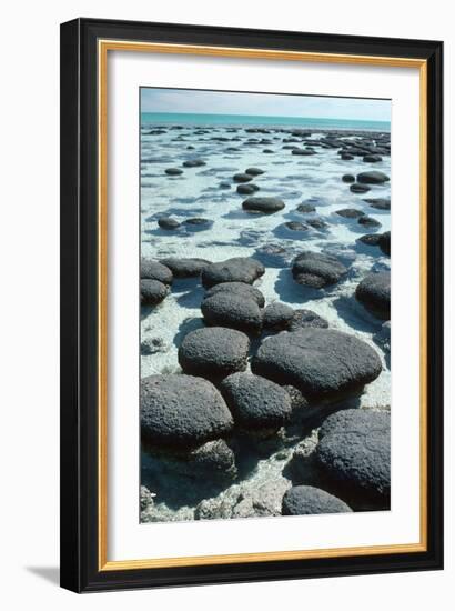 Stromatolites-Georgette Douwma-Framed Photographic Print