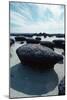 Stromatolites-Georgette Douwma-Mounted Photographic Print