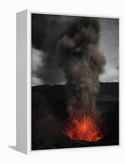 Strombolian Eruption of Mount Bromo Volcano, Tengger Caldera, Java, Indonesia-Stocktrek Images-Framed Premier Image Canvas