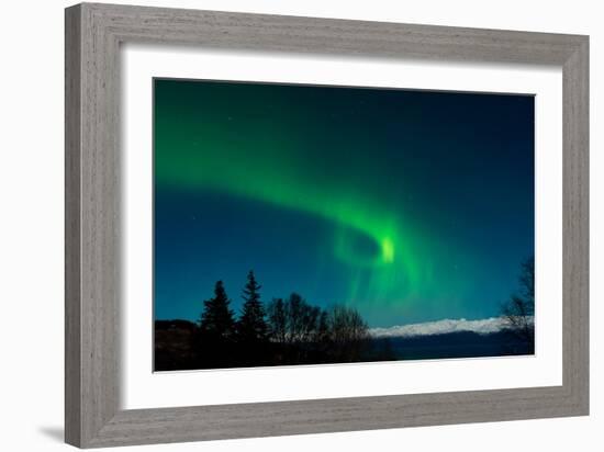 Strong Curled Green Aurora-Latitude 59 LLP-Framed Photographic Print