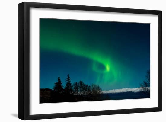 Strong Curled Green Aurora-Latitude 59 LLP-Framed Photographic Print